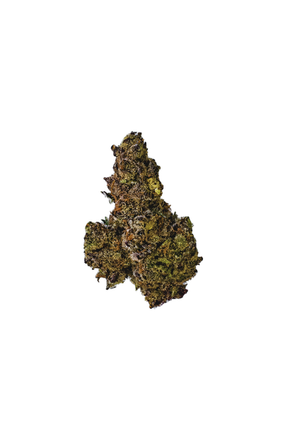 Animal Tsunami cannabis flower bud