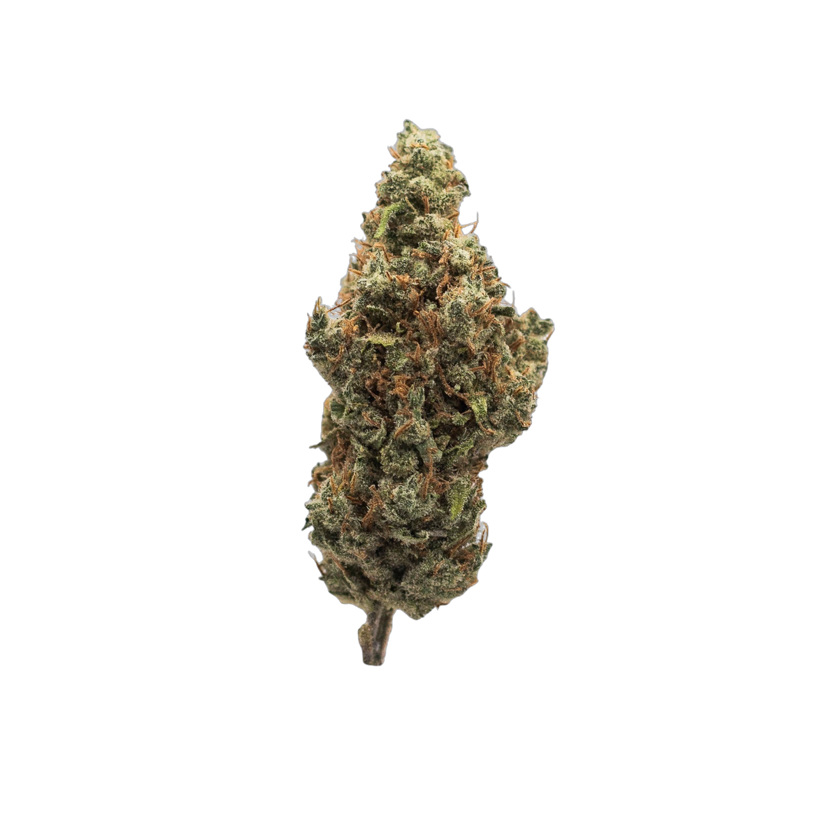 Apex cannabis flower bud