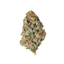 Astro Grape - Cannibisters Limited Collection cannabis flower bud