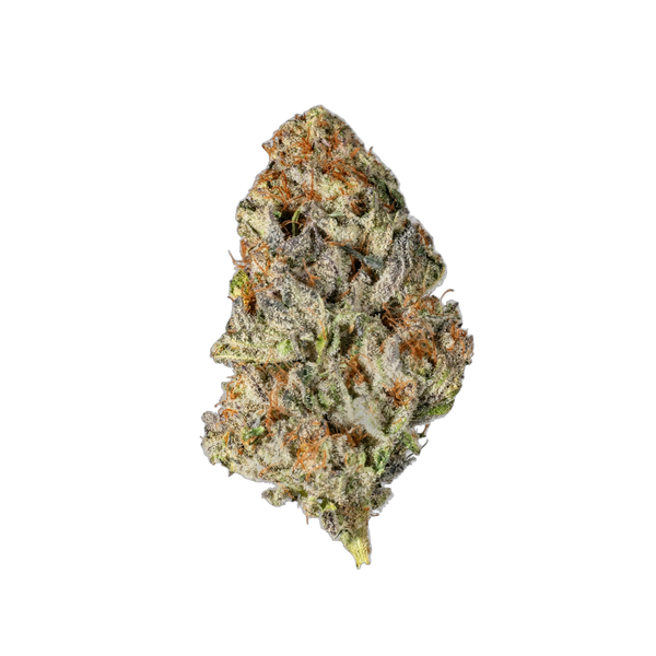 Astro Grape - Cannibisters Limited Collection cannabis flower bud