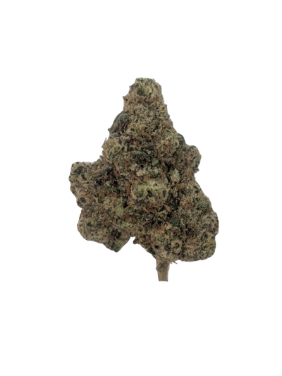 Baked Alaska cannabis flower bud