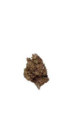 Banana Kosher Kush (Organic Living Soil) cannabis flower bud