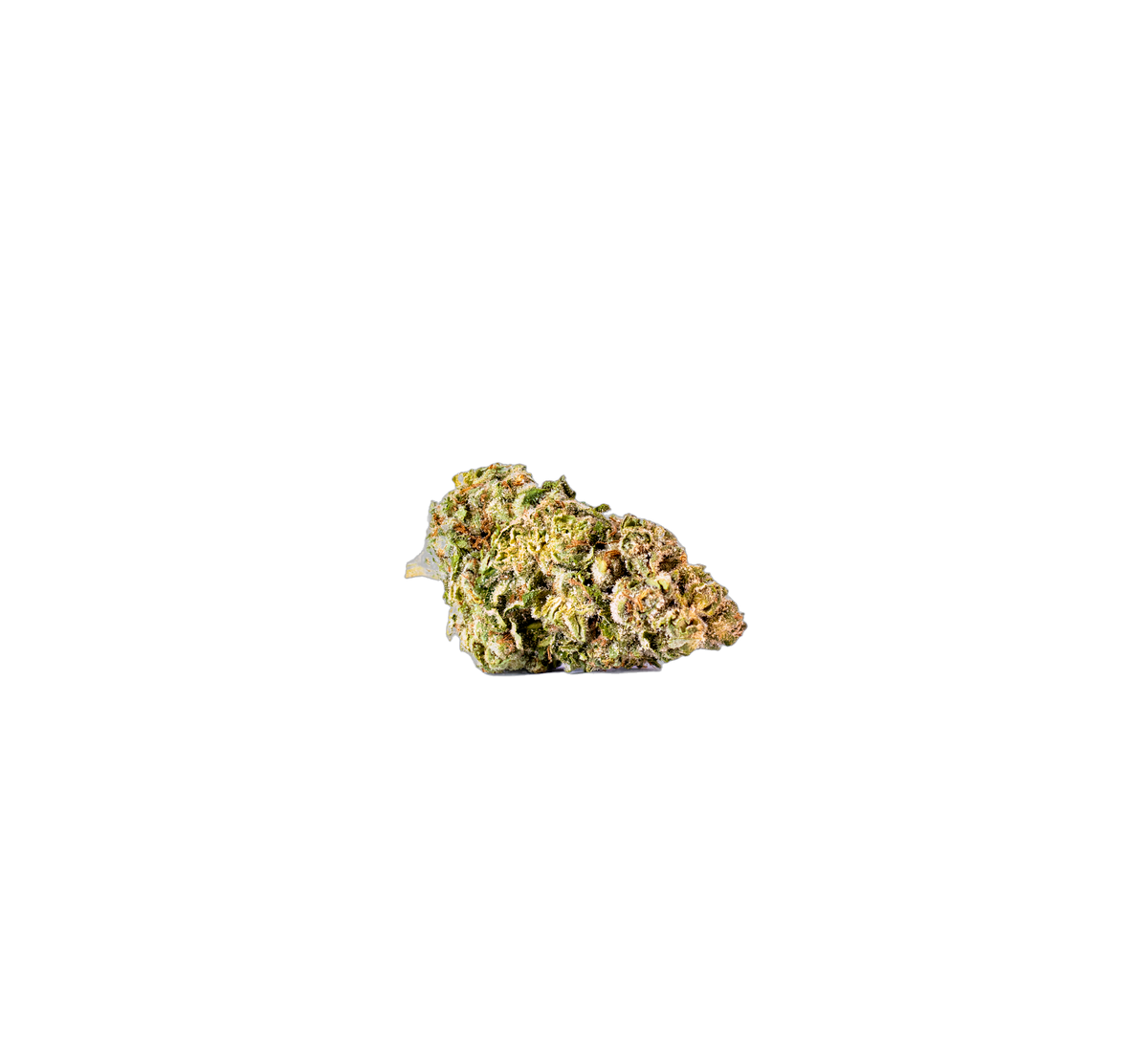 Banana Kush cannabis flower bud