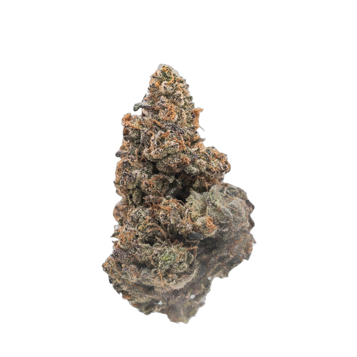 Black Cat cannabis flower bud