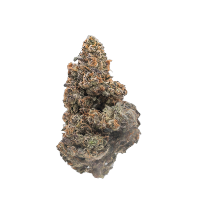 Black Cat cannabis flower bud