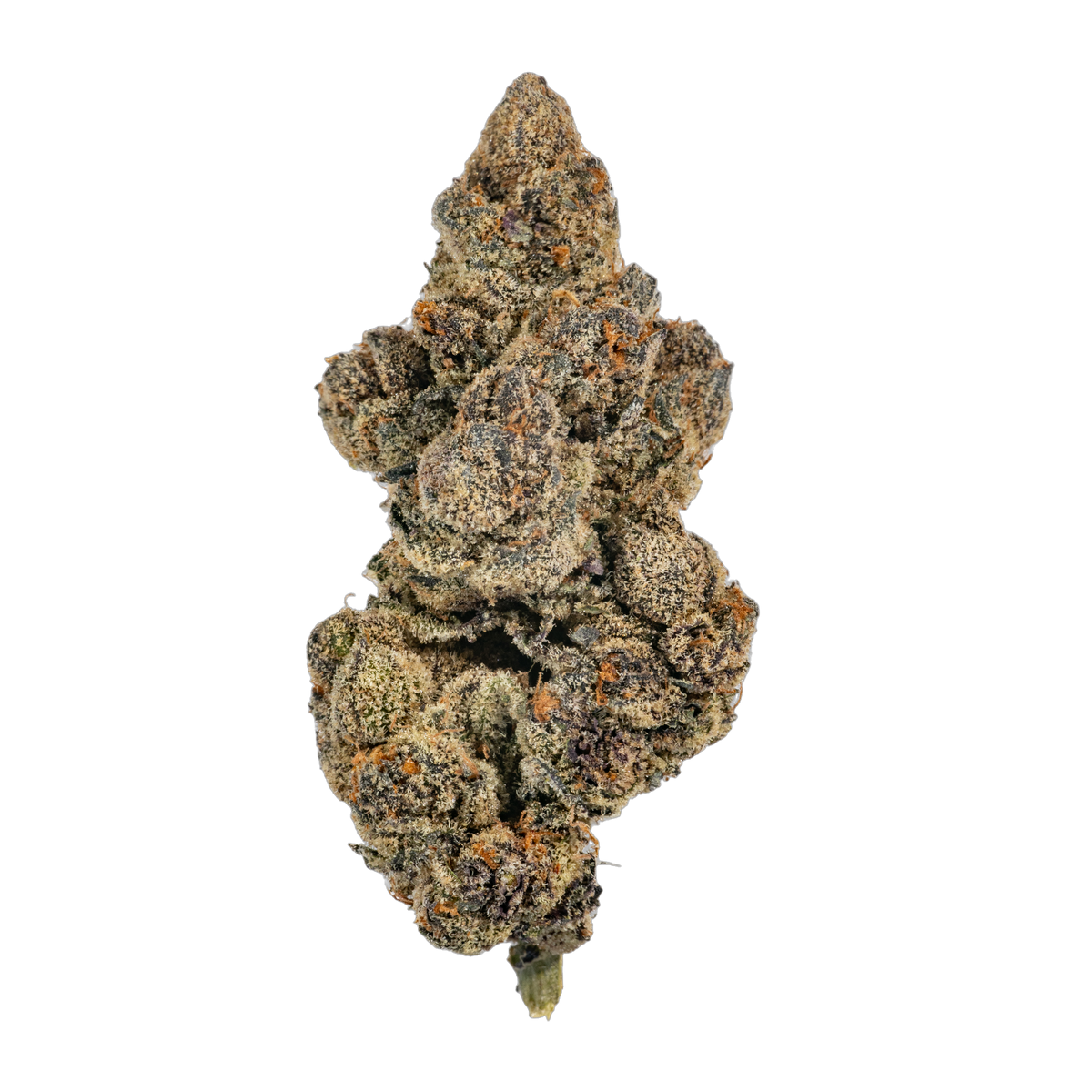 Black Patronus cannabis flower bud