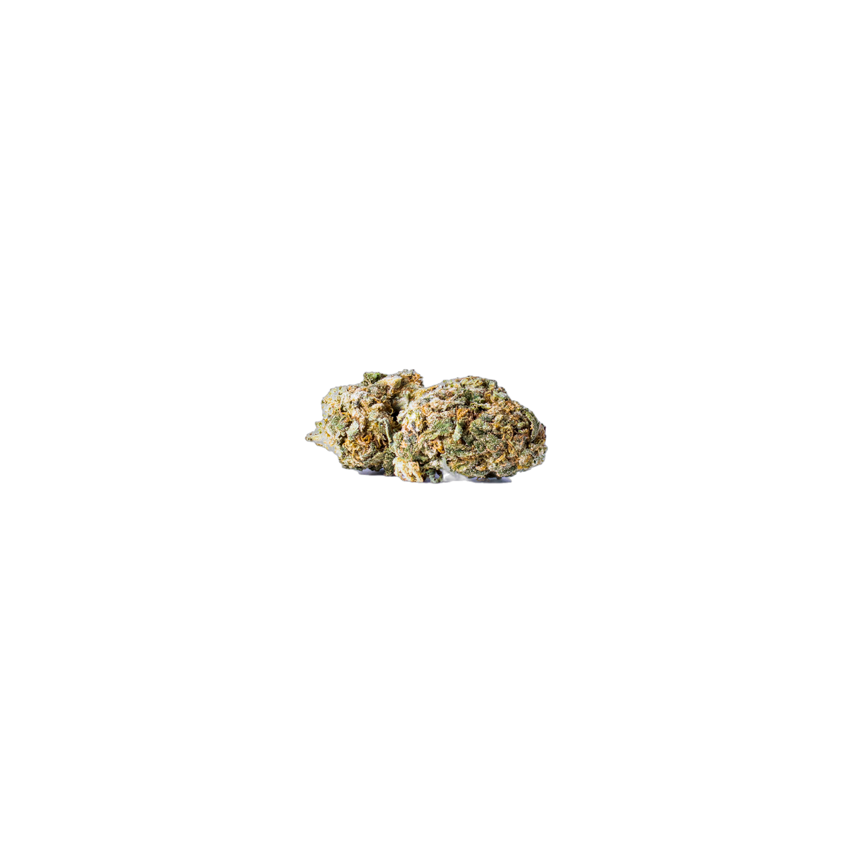 Black Sirius (Living Soil) cannabis flower bud