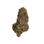 Black Tuna cannabis flower bud