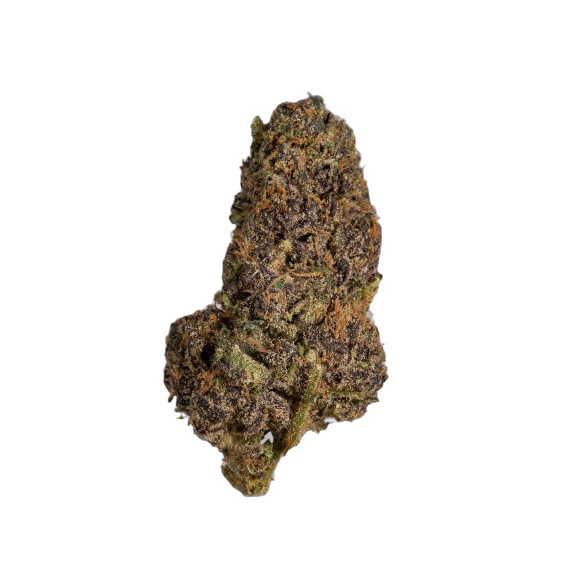 Black Tuna cannabis flower bud