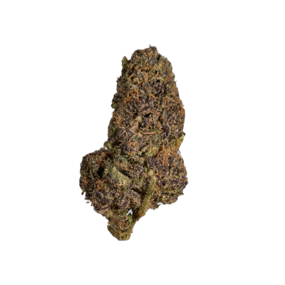 Black Tuna cannabis flower bud