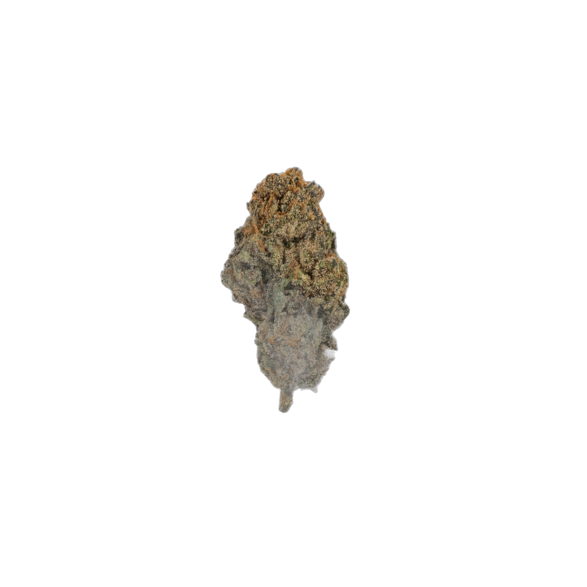 Blackberry Moonshine cannabis flower bud
