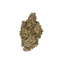 Blade Runner cannabis flower bud
