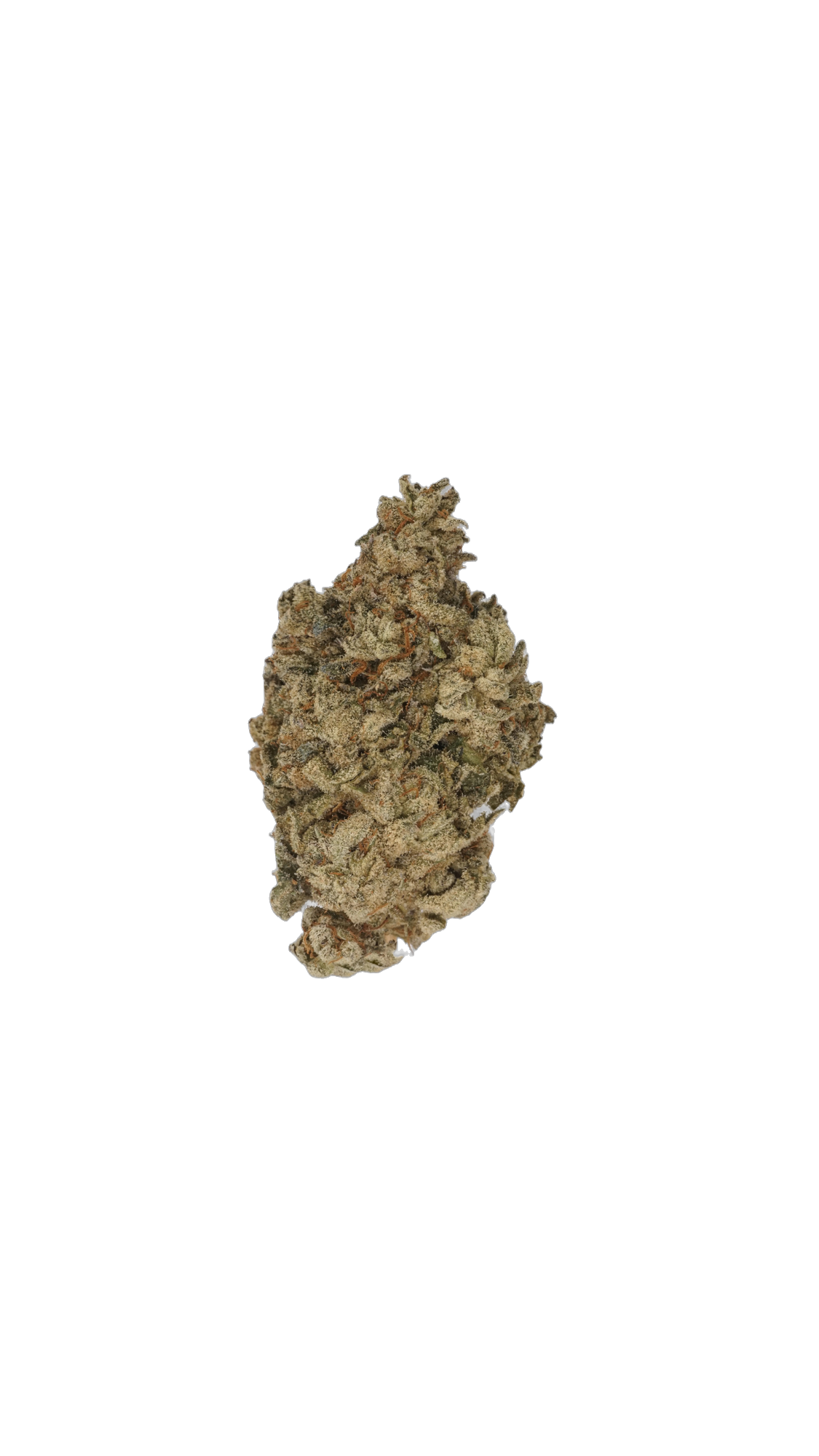 Blade Runner cannabis flower bud