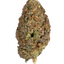 Blood Bath cannabis flower bud