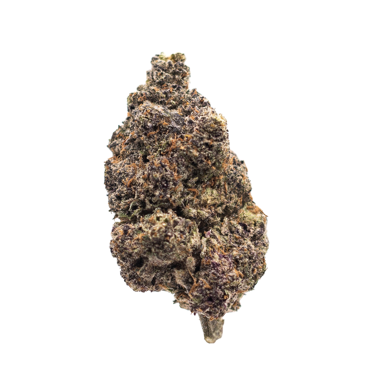 Blood Bath sativa cannabis | Cannibisters Cape Town