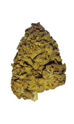 Blunicorn (Organic Living Soil) cannabis flower bud