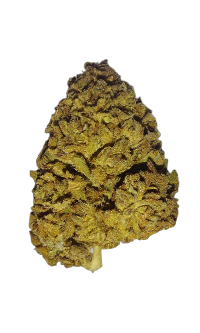 Blunicorn (Organic Living Soil) cannabis flower bud