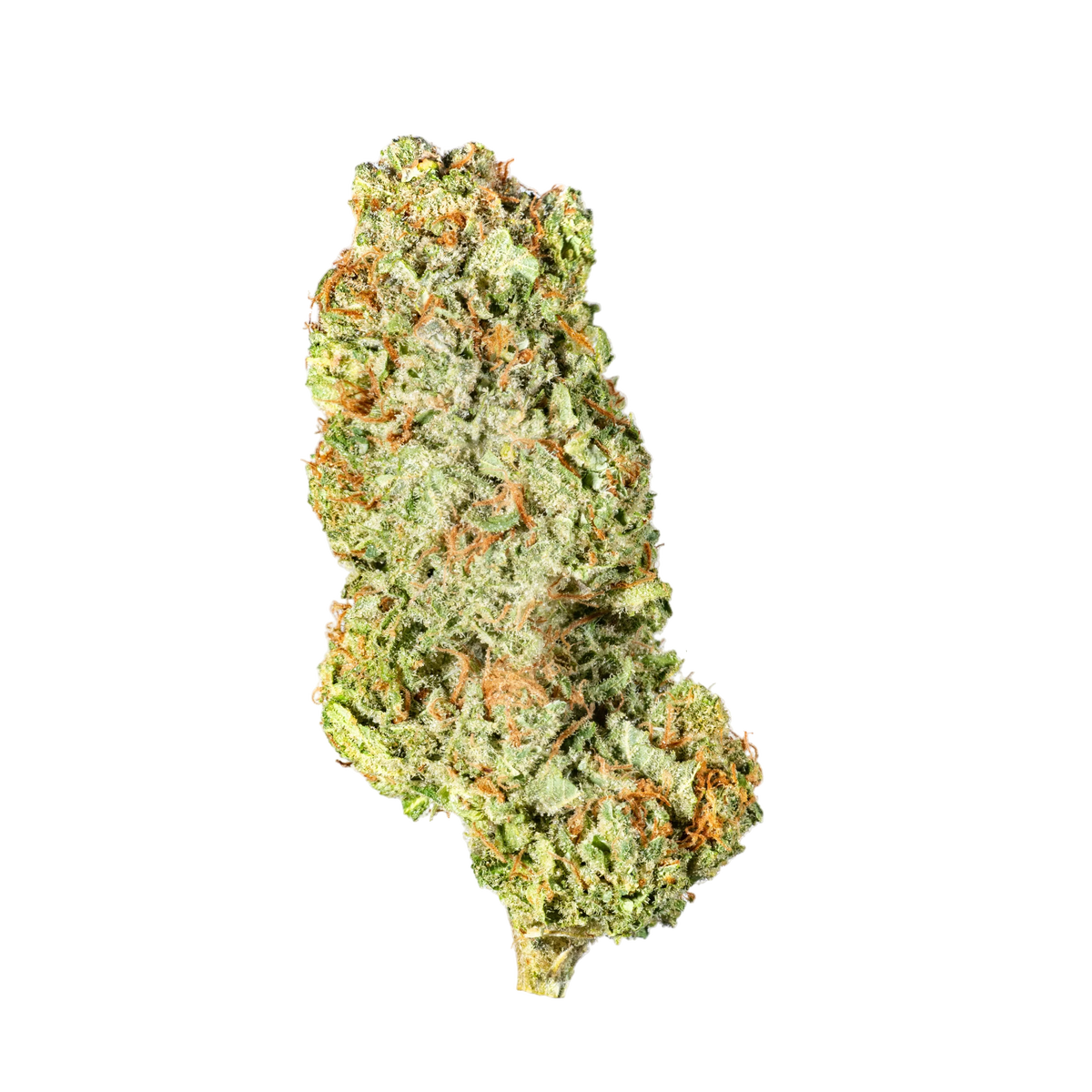 Blue Cheese - Cannibisters Limited Collection