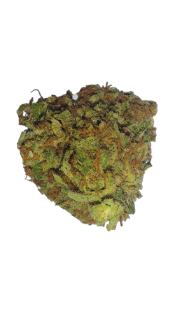 Blue Dream (Organic Living Soil) cannabis flower bud