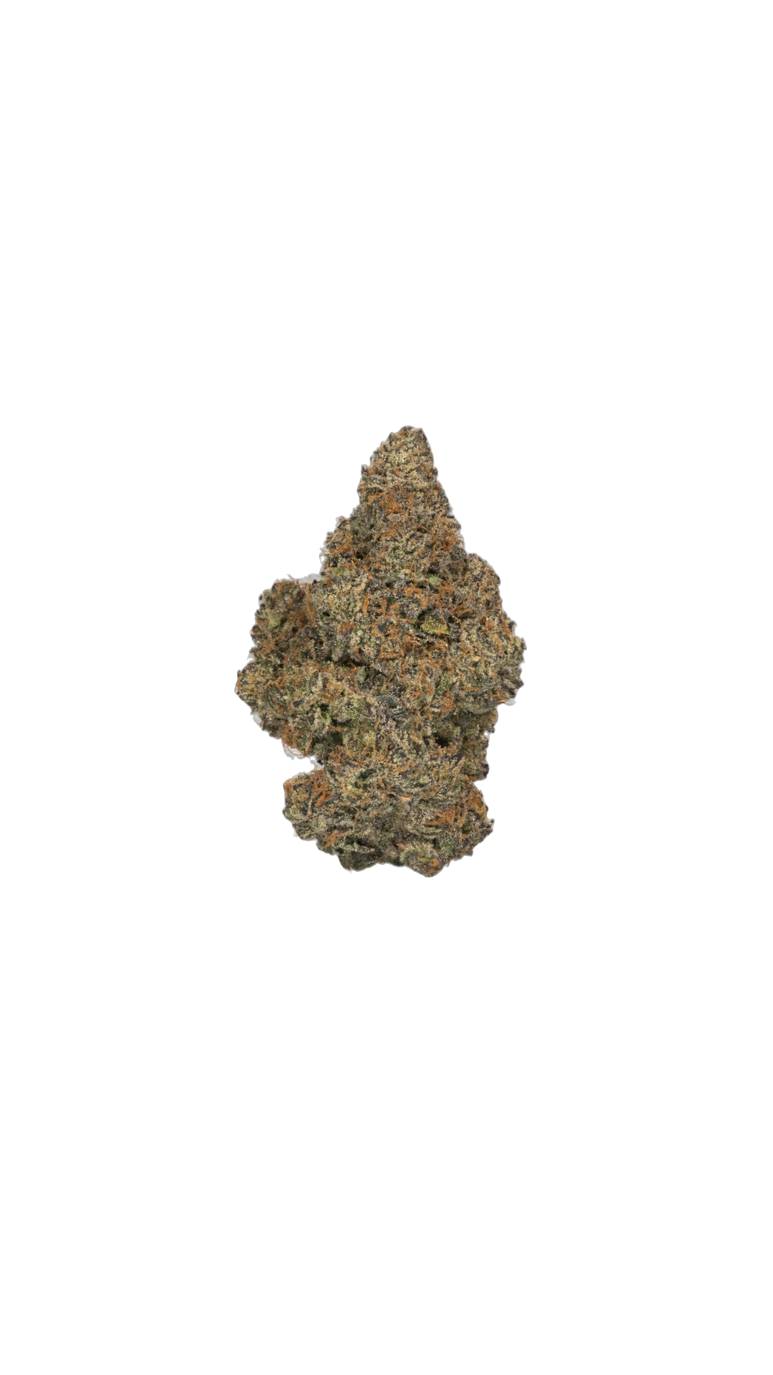 Blue Zushi cannabis flower bud