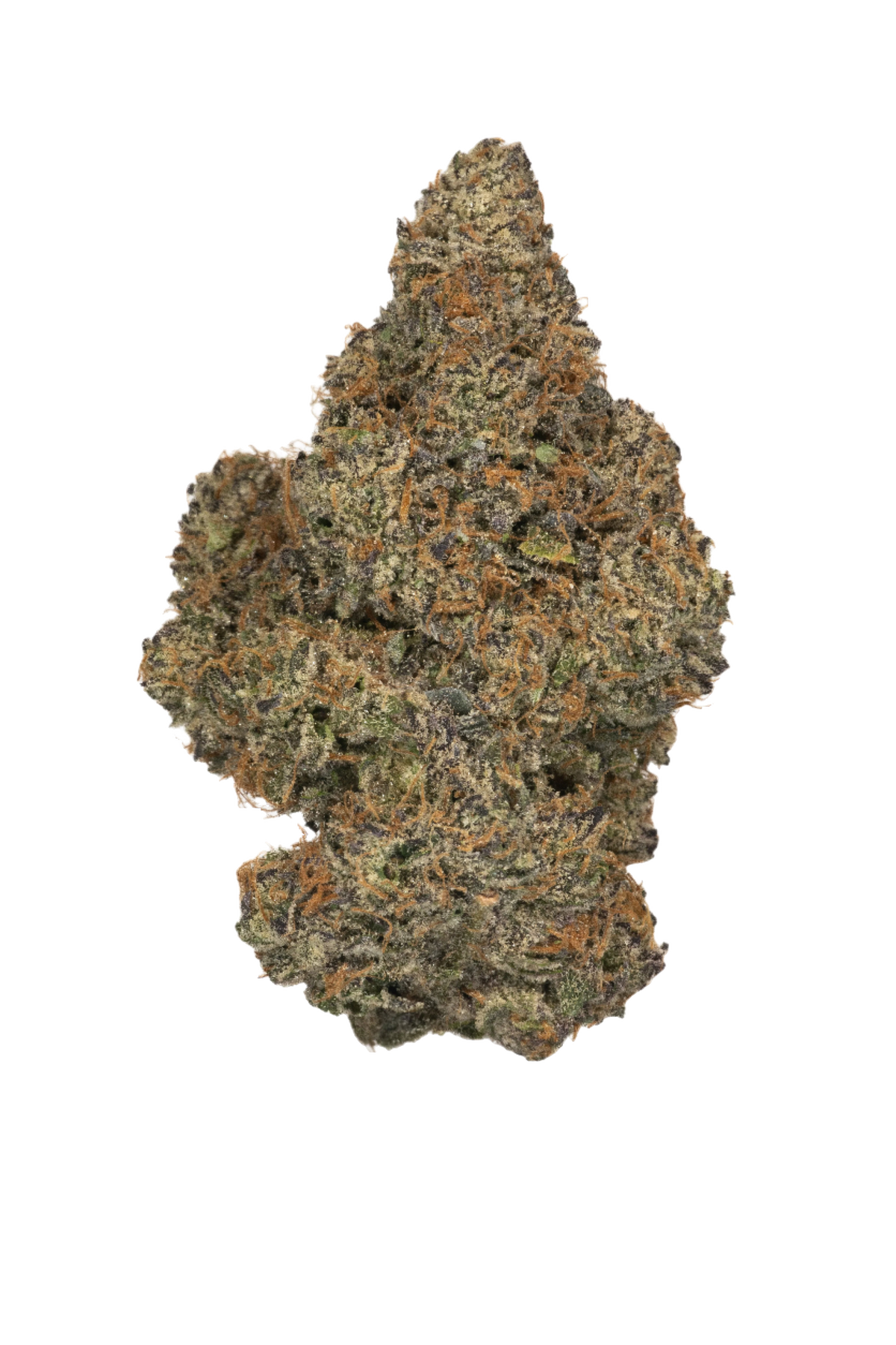 Blue Zushi cannabis cannabis | Cannibisters Cape Town