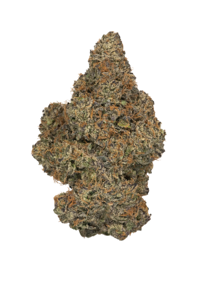 Blue Zushi cannabis cannabis | Cannibisters Cape Town