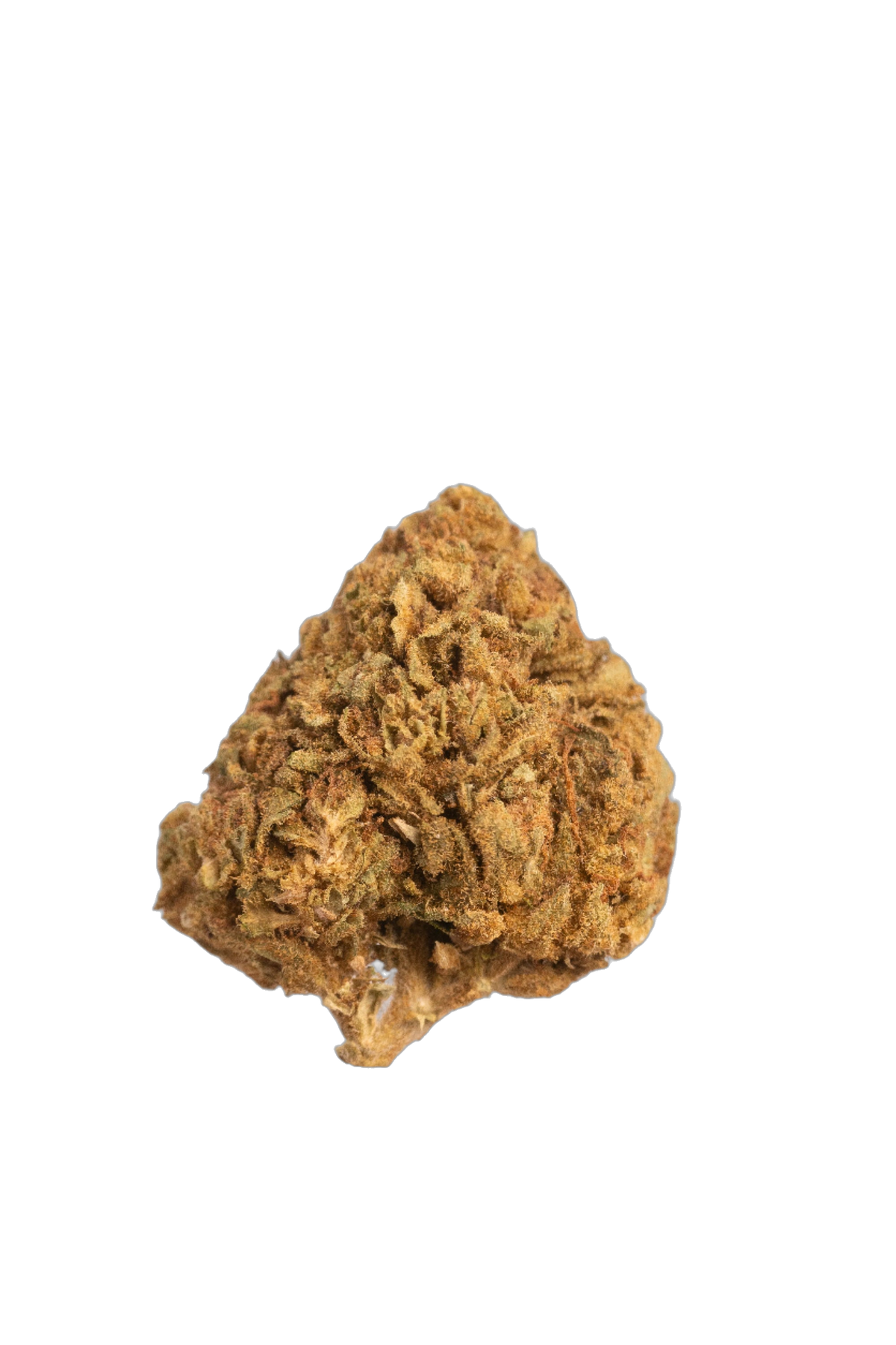 Blueberry (Organic Living Soil) cannabis flower bud