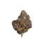 Blueberry Gary cannabis flower bud