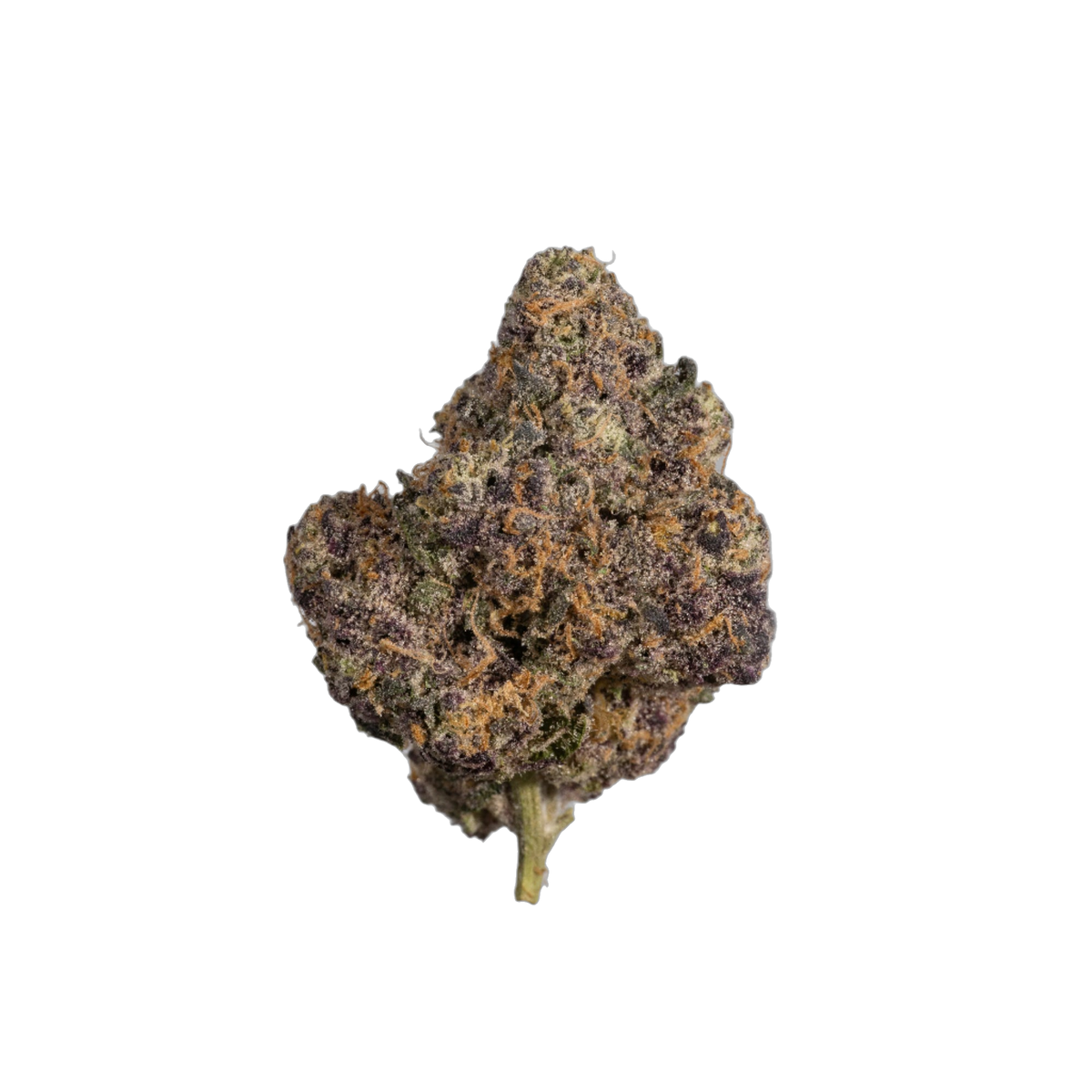 Blueberry Gary cannabis flower bud
