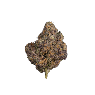 Blueberry Gary cannabis flower bud