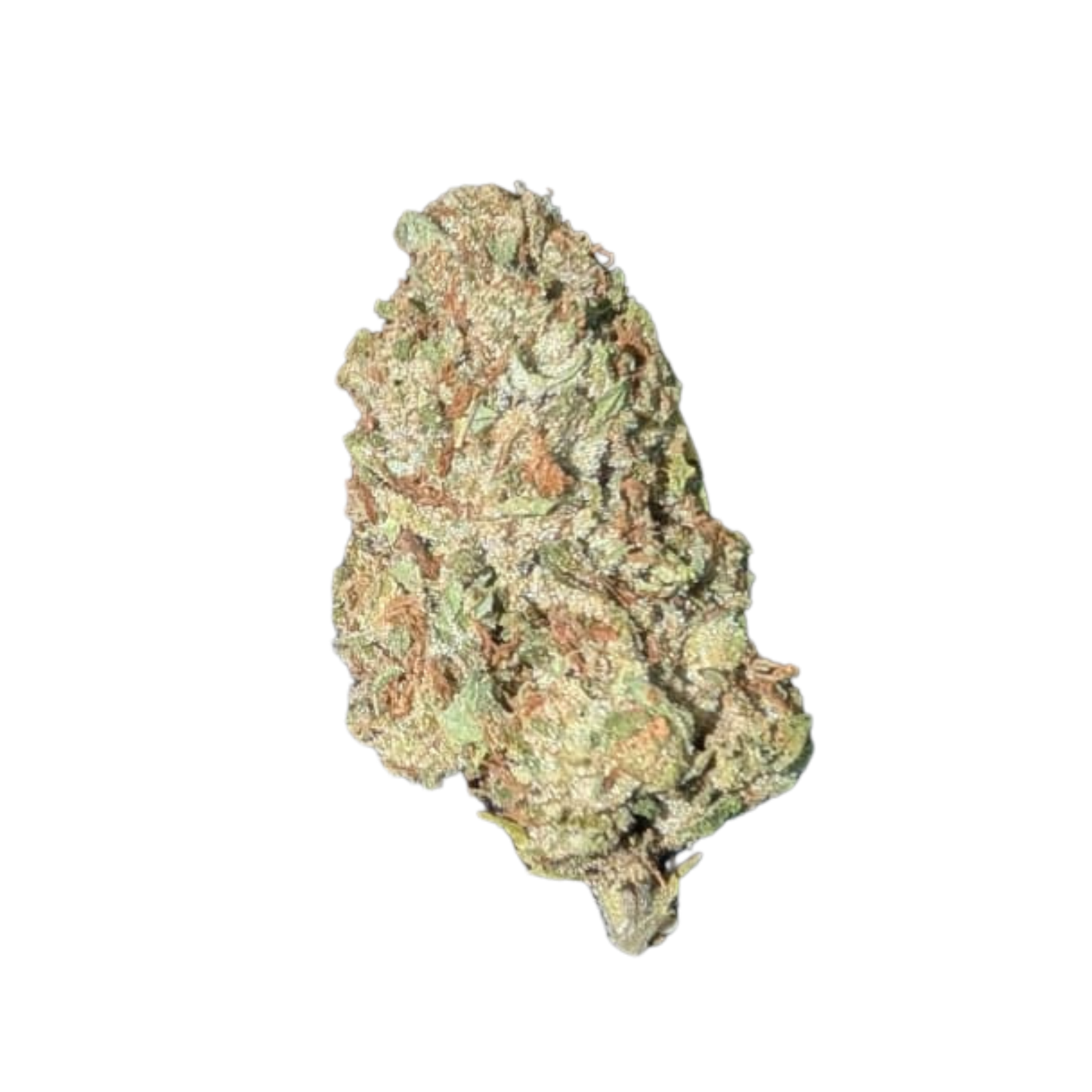 Blueberry OG - Greendoor cannabis flower