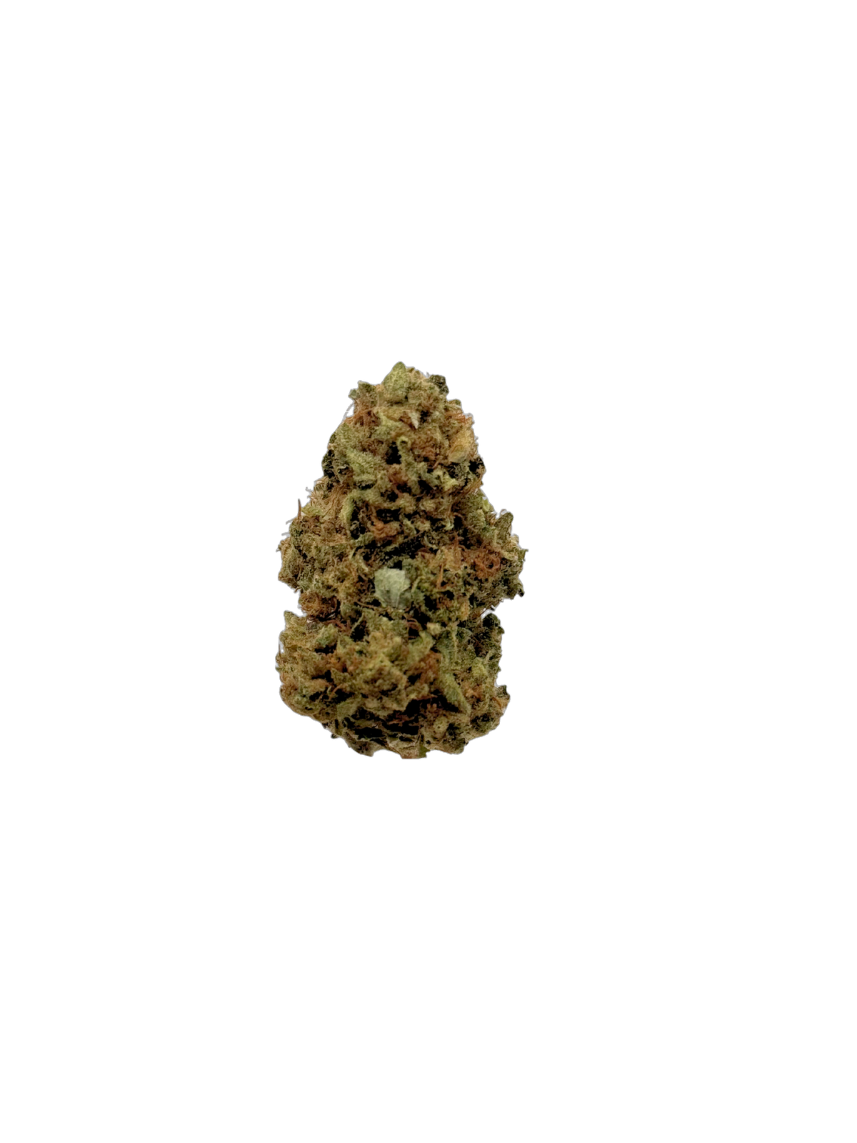 Blueberry OG - Organic Living Soil cannabis flower bud
