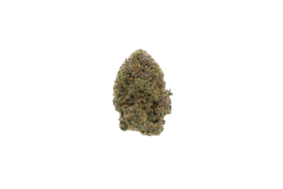 Brainstorm cannabis flower bud