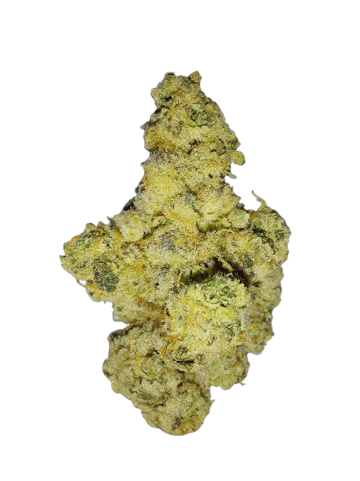Bubbalicious cannabis flower bud