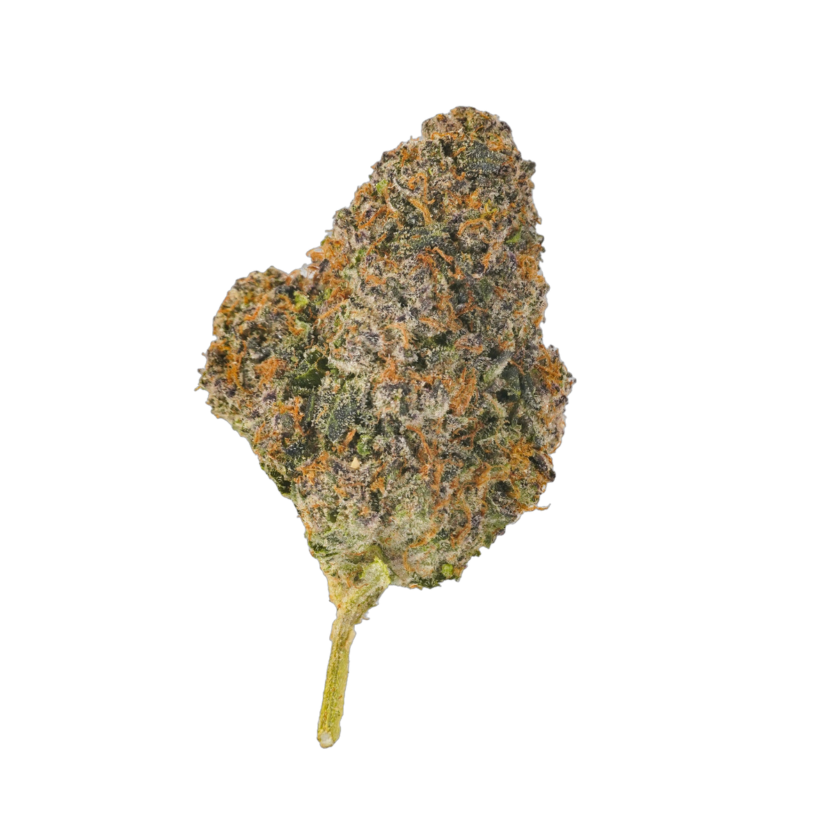 Bubble Velvet cannabis flower bud