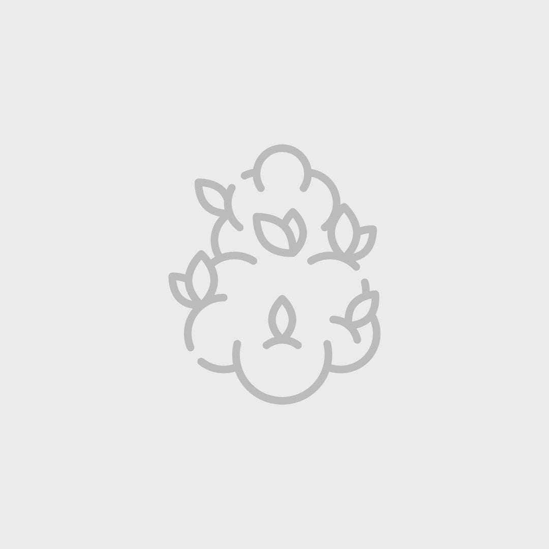 OMFG indica cannabis strain — buy online Cape Town | Cannibisters