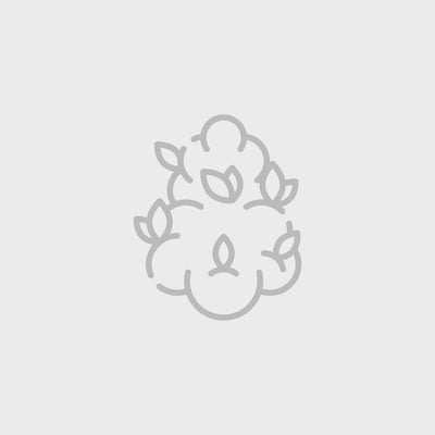 OMFG indica cannabis strain — buy online Cape Town | Cannibisters