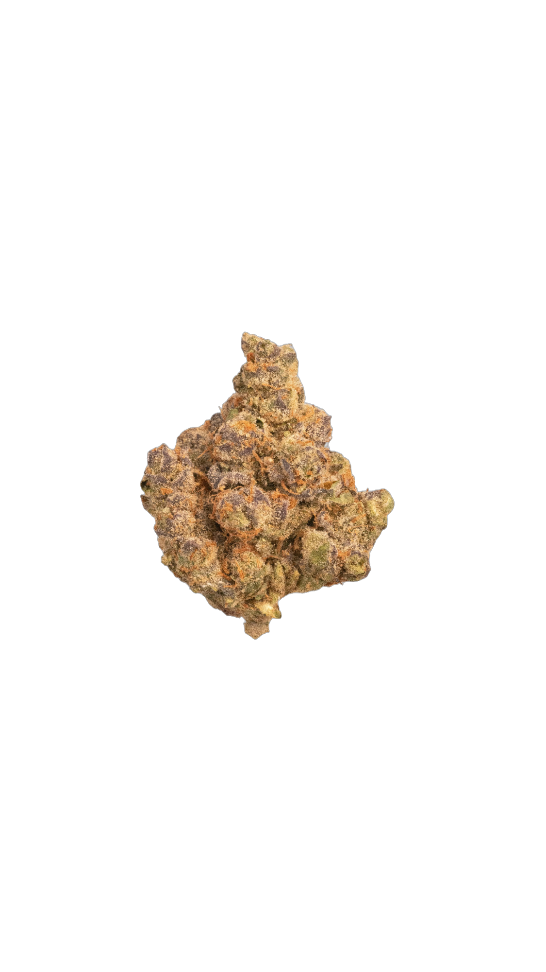 Butter Milk Biscuit cannabis flower bud