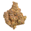 Butter Milk Biscuit cannabis cannabis | Cannibisters Cape Town