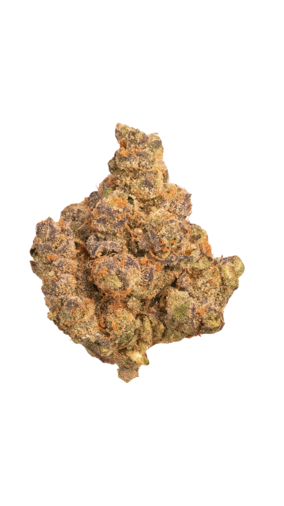 Butter Milk Biscuit cannabis cannabis | Cannibisters Cape Town