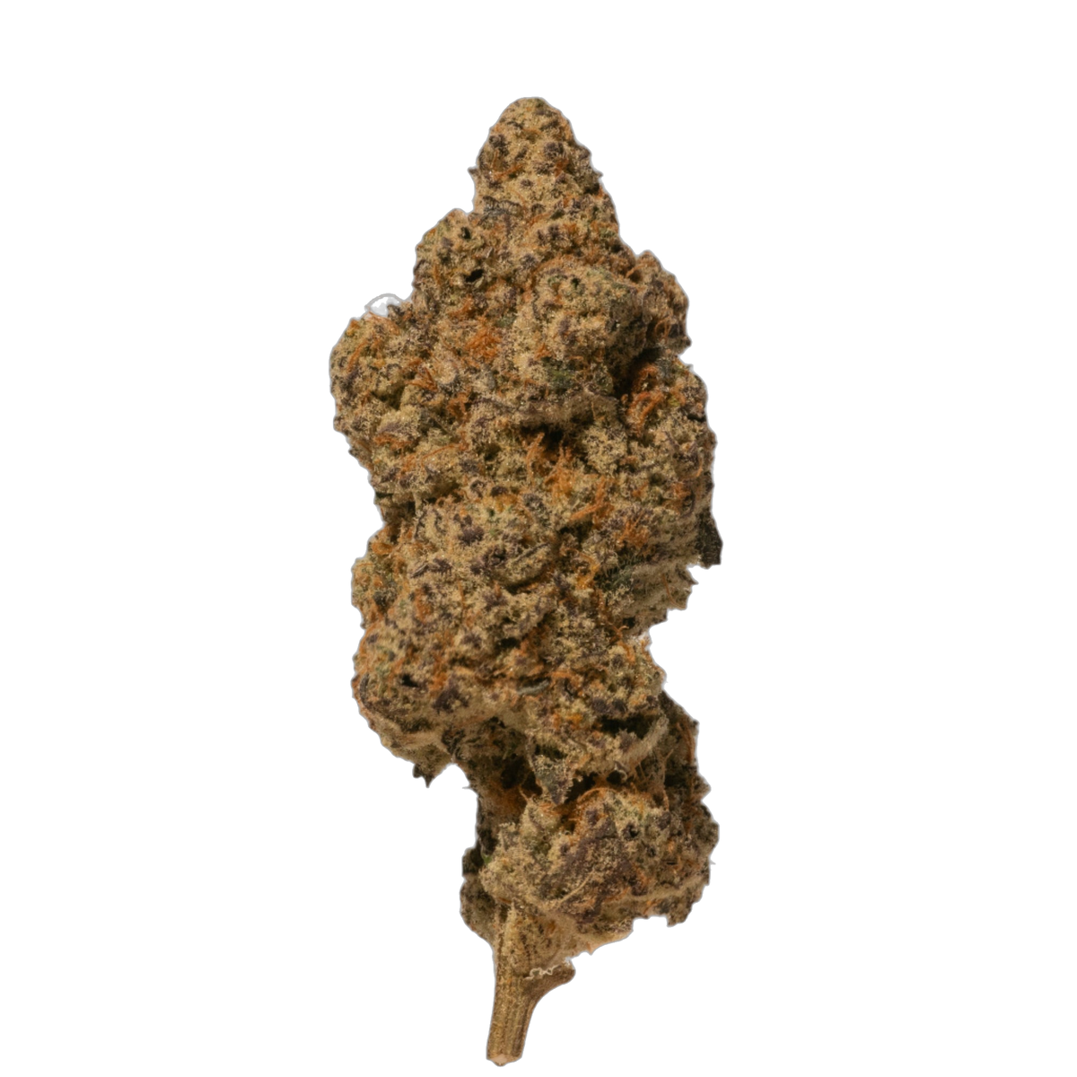 Candy Land cannabis flower bud