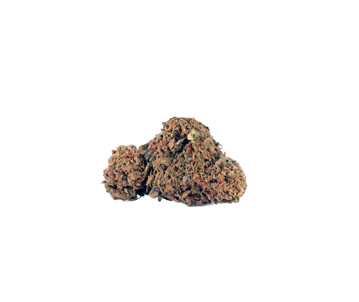 Cannibisters House Strain cannabis flower bud