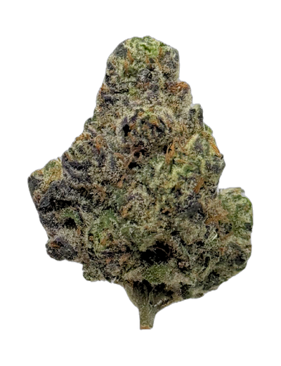 Cape Town Candy bud