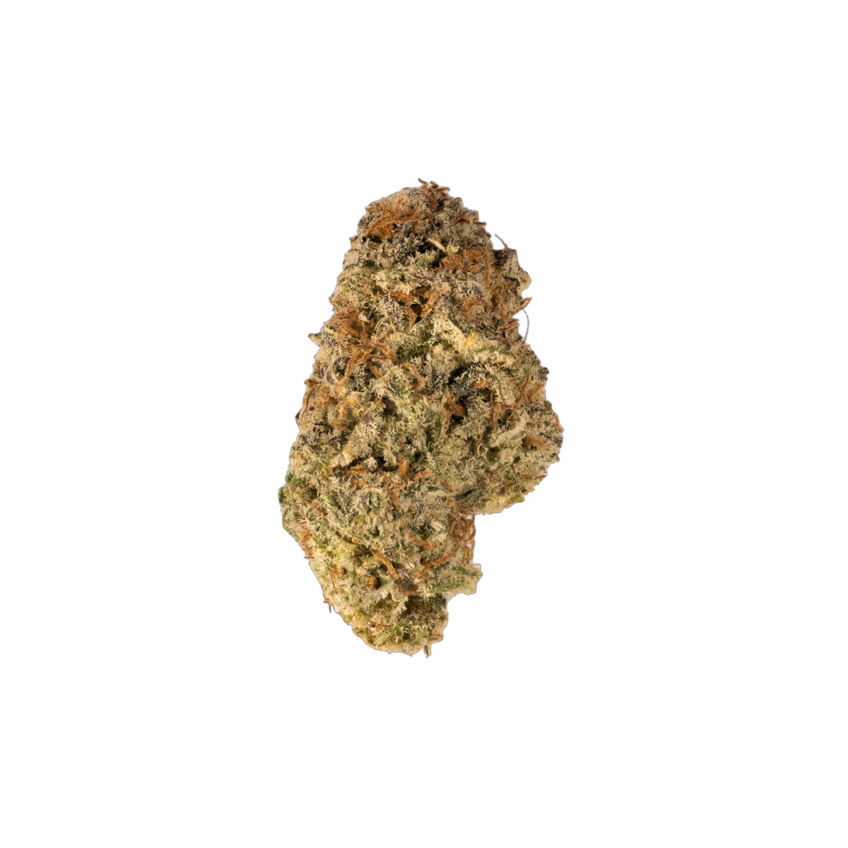 Caribbean Punch cannabis flower bud