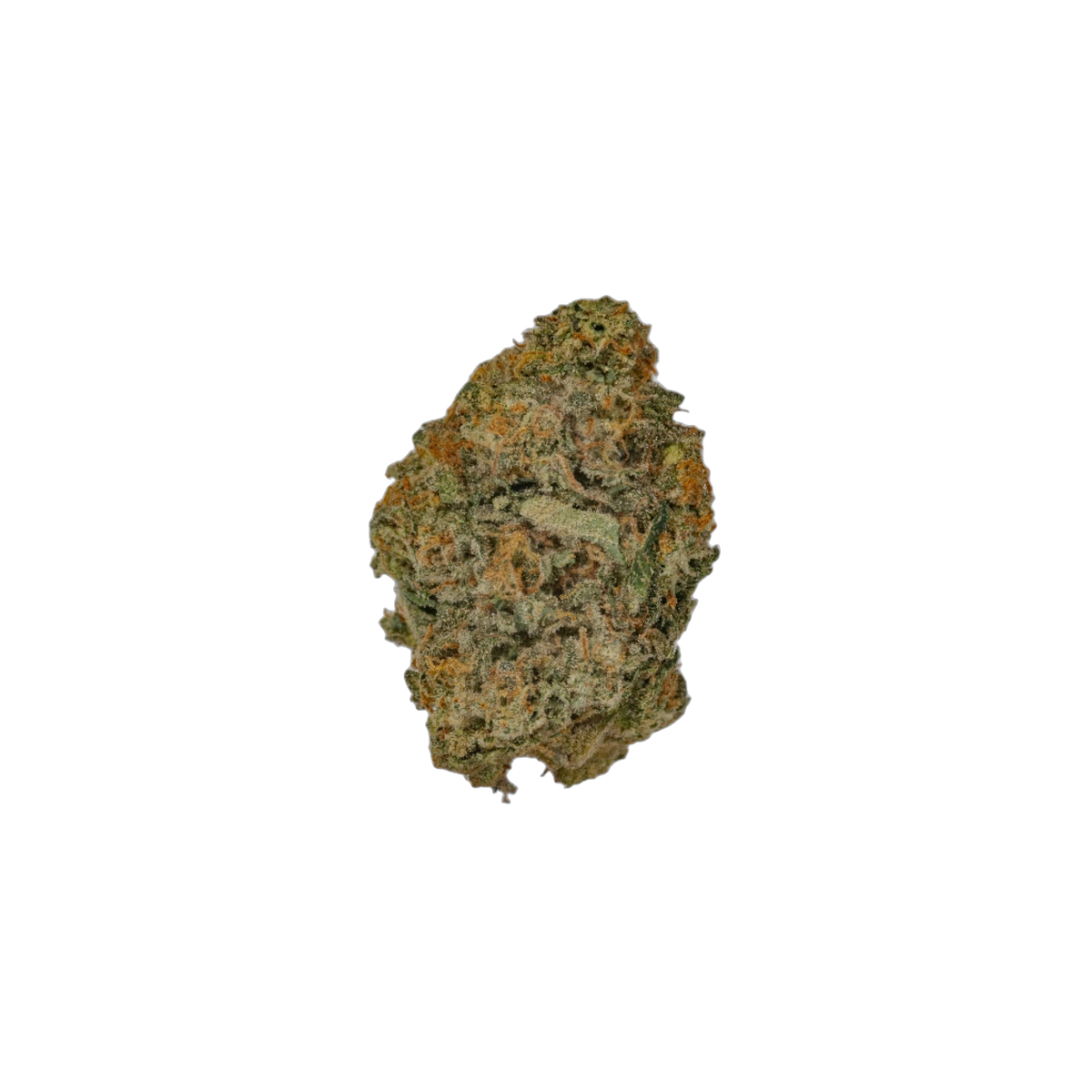 Champagne Rose cannabis flower bud