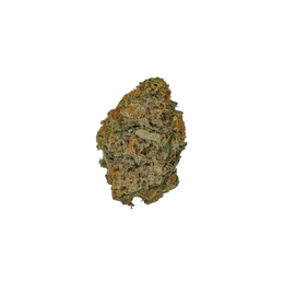 Champagne Rose cannabis flower bud