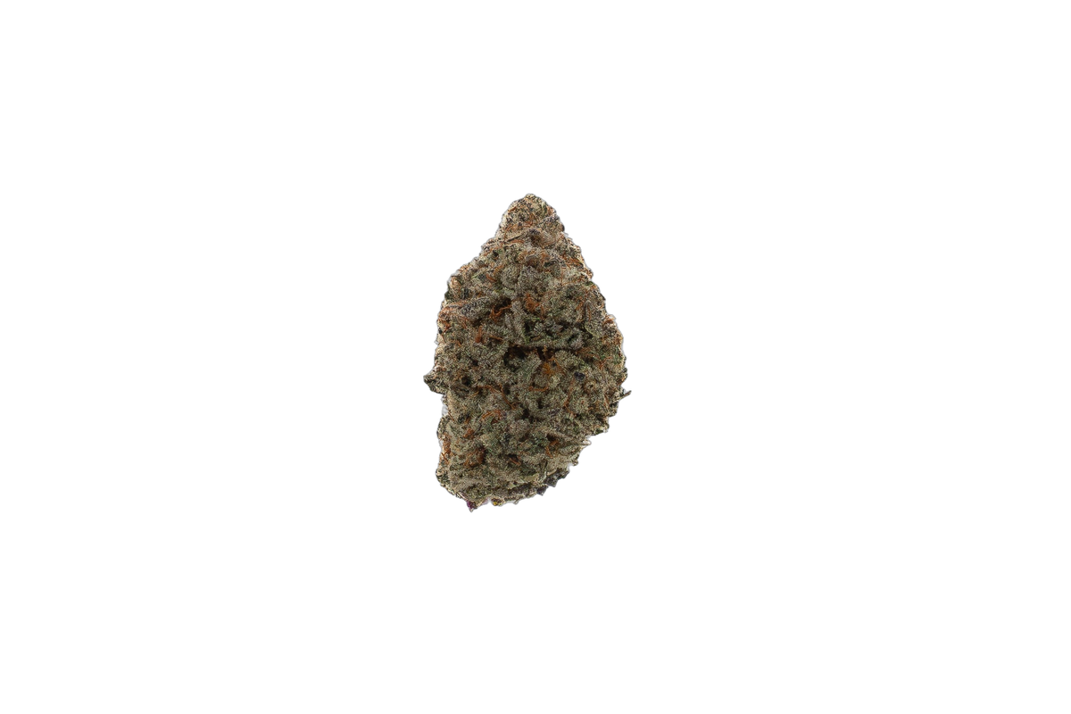 Cheetah The Hut cannabis flower bud