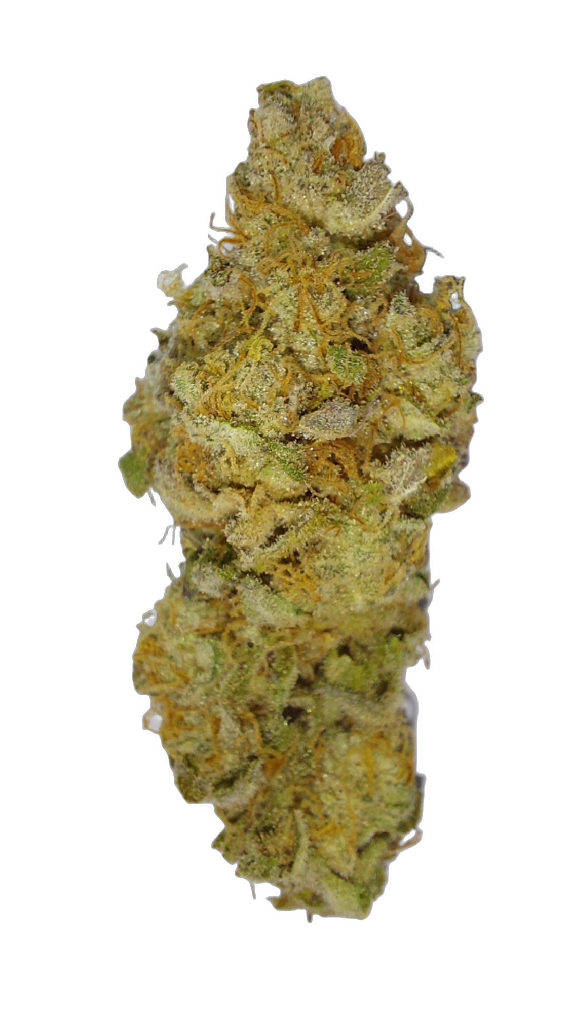 Chemical Fruit cannabis flower bud
