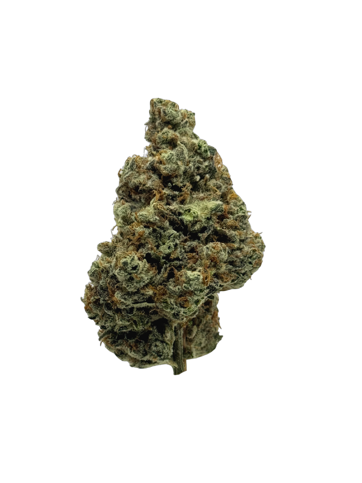 Cherry Dawg cannabis flower bud