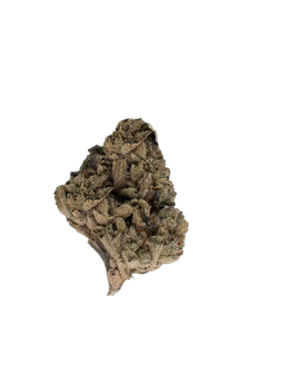 Cherry Pie cannabis flower bud
